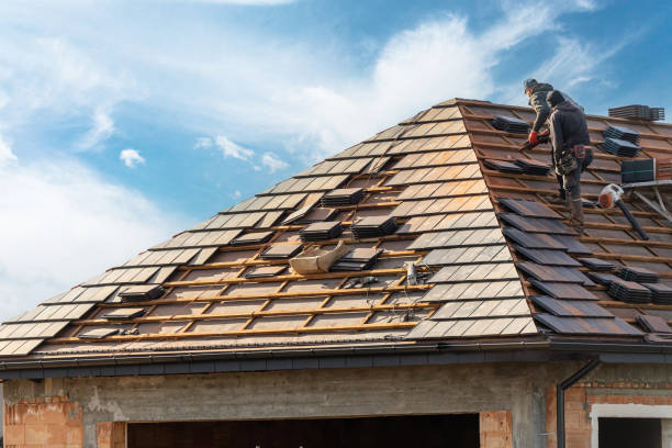 Best Metal Roofing Installation  in Waianae, HI